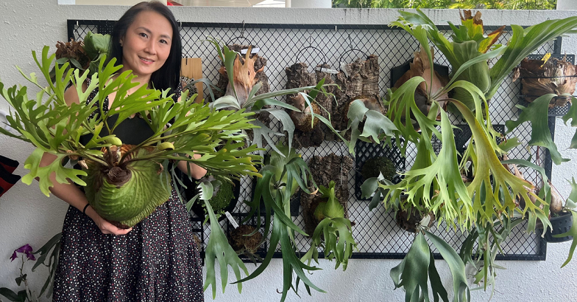 Jeannie with Ferns